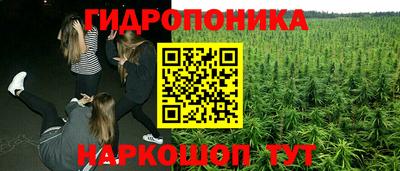прущий лед Будённовск