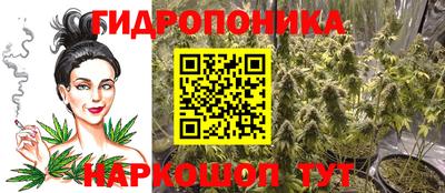 прущий лед Будённовск