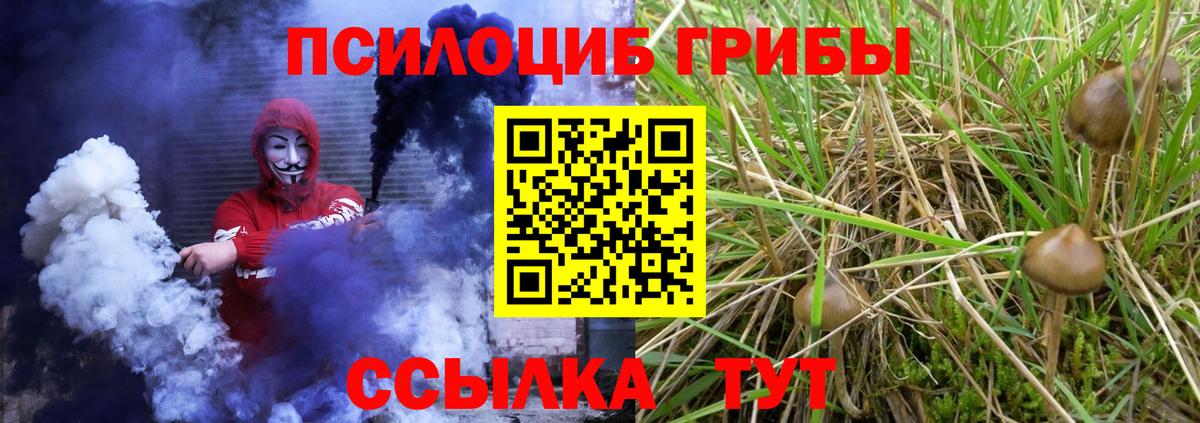 Галлюциногенные грибы GOLDEN TEACHER Муром