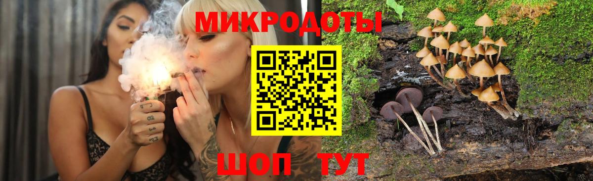 Галлюциногенные грибы Psilocybe  Вход с VPN  Псилоцибиновые грибы Cubensis  Муром 